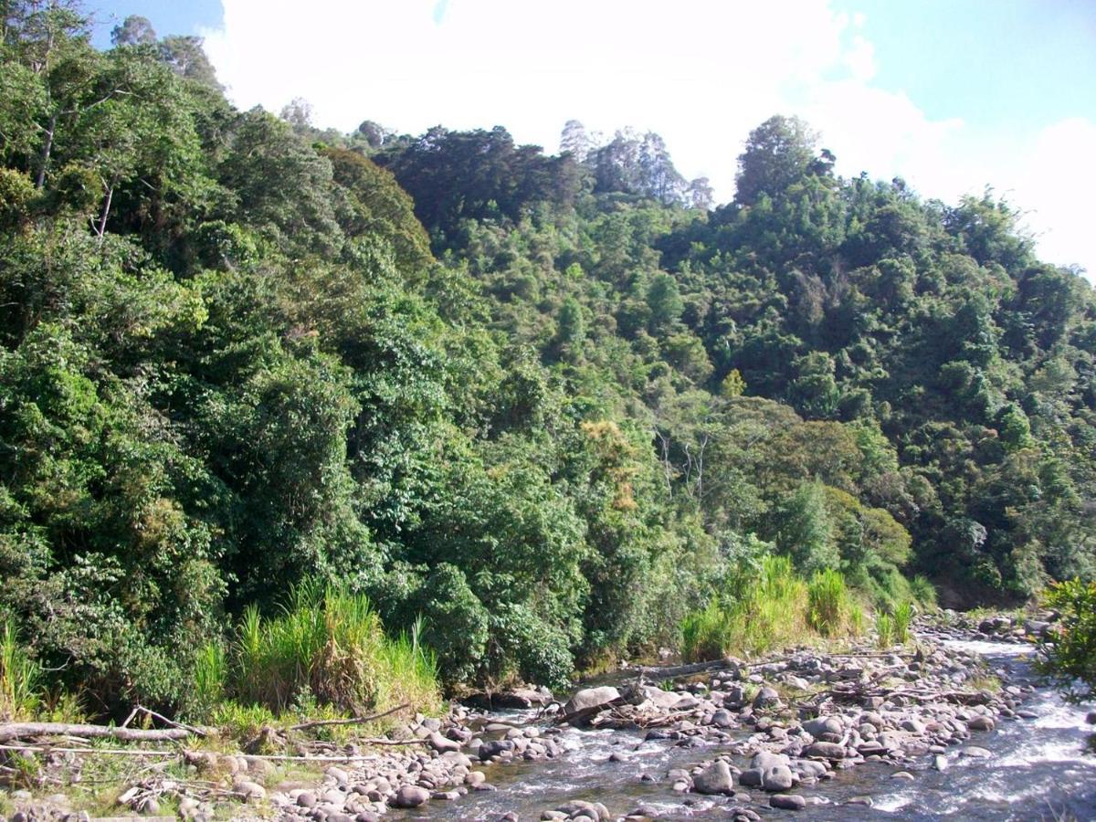 Kasaguadua - Reserva Natural Salento Eksteriør billede